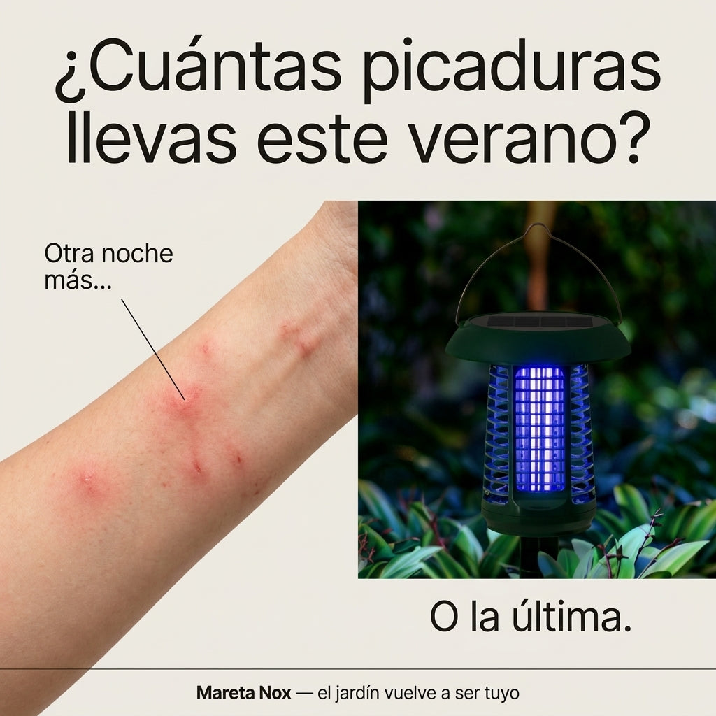 Infografía: el problema de los mosquitos en las noches de verano y cómo lo resuelve Mareta Nox